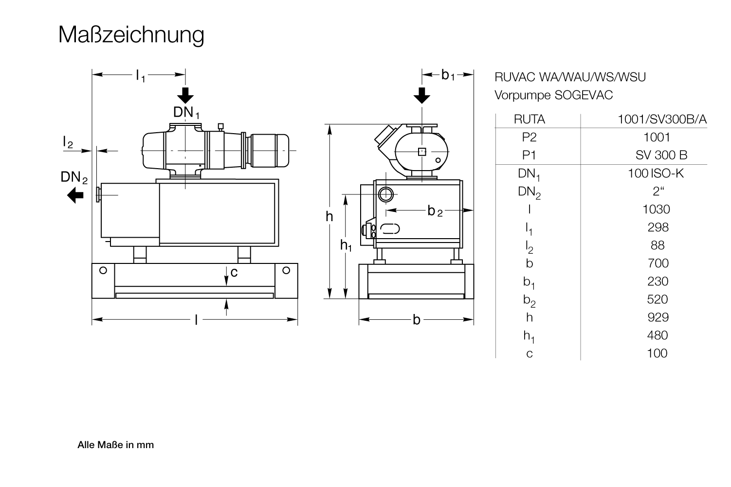 RUTAWAU 1001-SV300B-A.gif